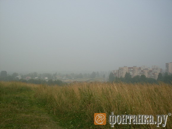 Петергоф